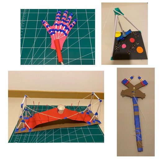 Cardboard Steam Projects.  From  left to right: a robotic hand, a magnetic scene, a suspension bridge and a grabber.