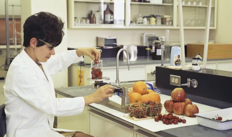 food lab-min